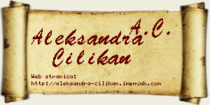 Aleksandra Cilikan vizit kartica